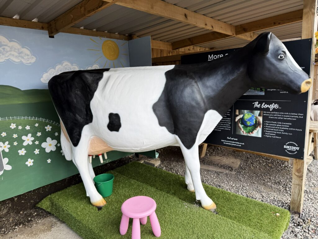 milk-cow